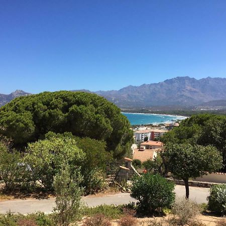 Appartement Calvi Calvi  Exterior photo